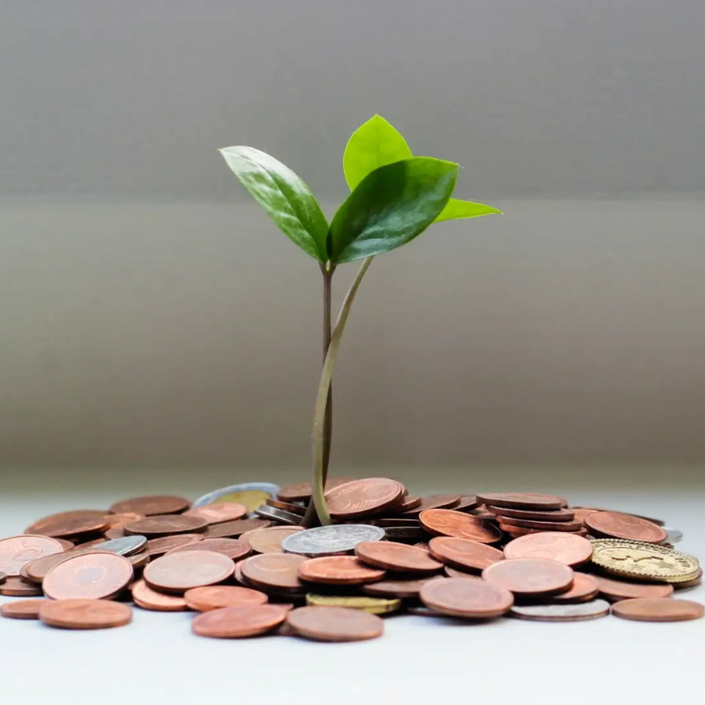 Cost effective money growth