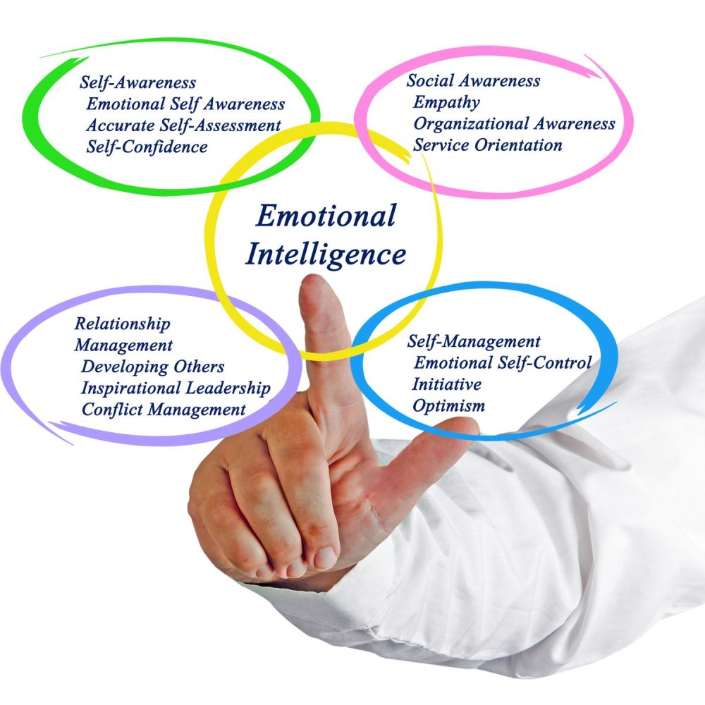 Emotional Intelligence