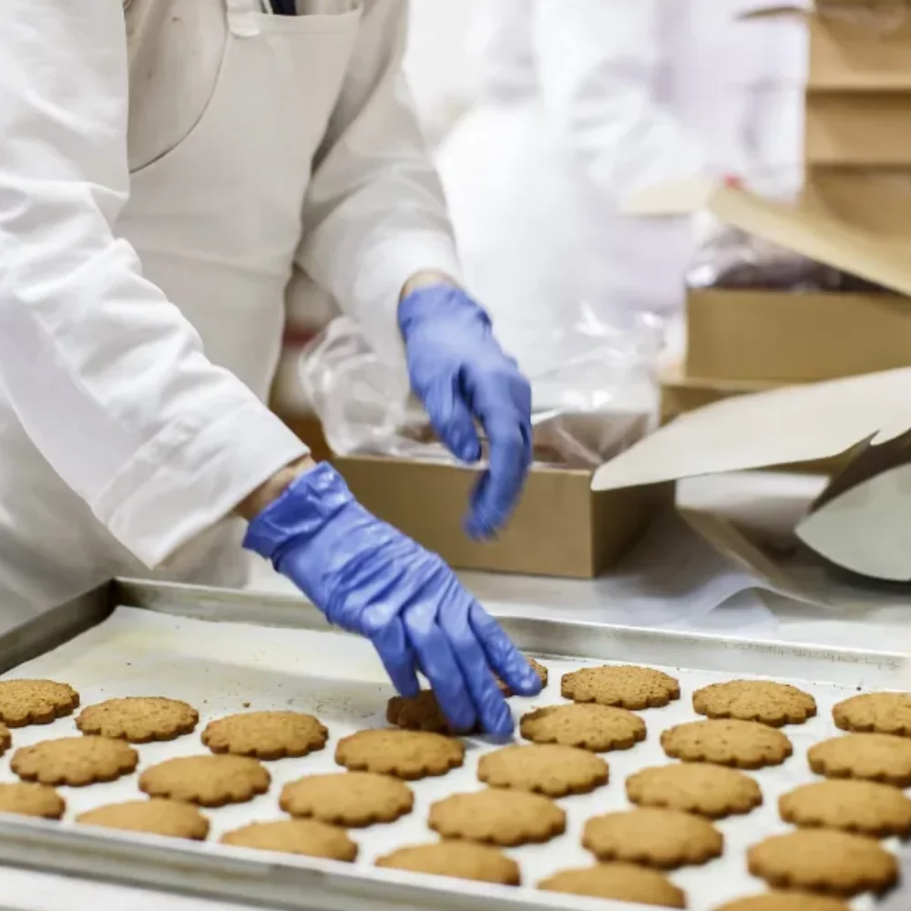 Food Hygiene Course level 5 2