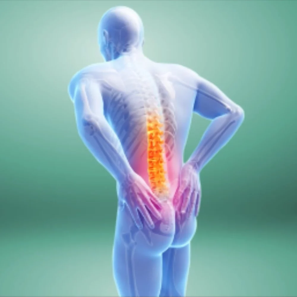 Manual Handling Training 2